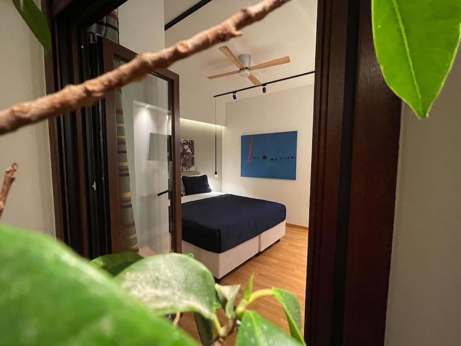 Acropolis Lux Apartment 아테네 외부 사진